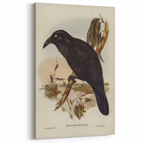 Vintage Crow Grunge Art Print | Dark Grunge Canvas | Urban Wall Decor