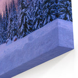 Minnesota Winter Wonderland - Framed and Canvas Wall Art for Home Decor