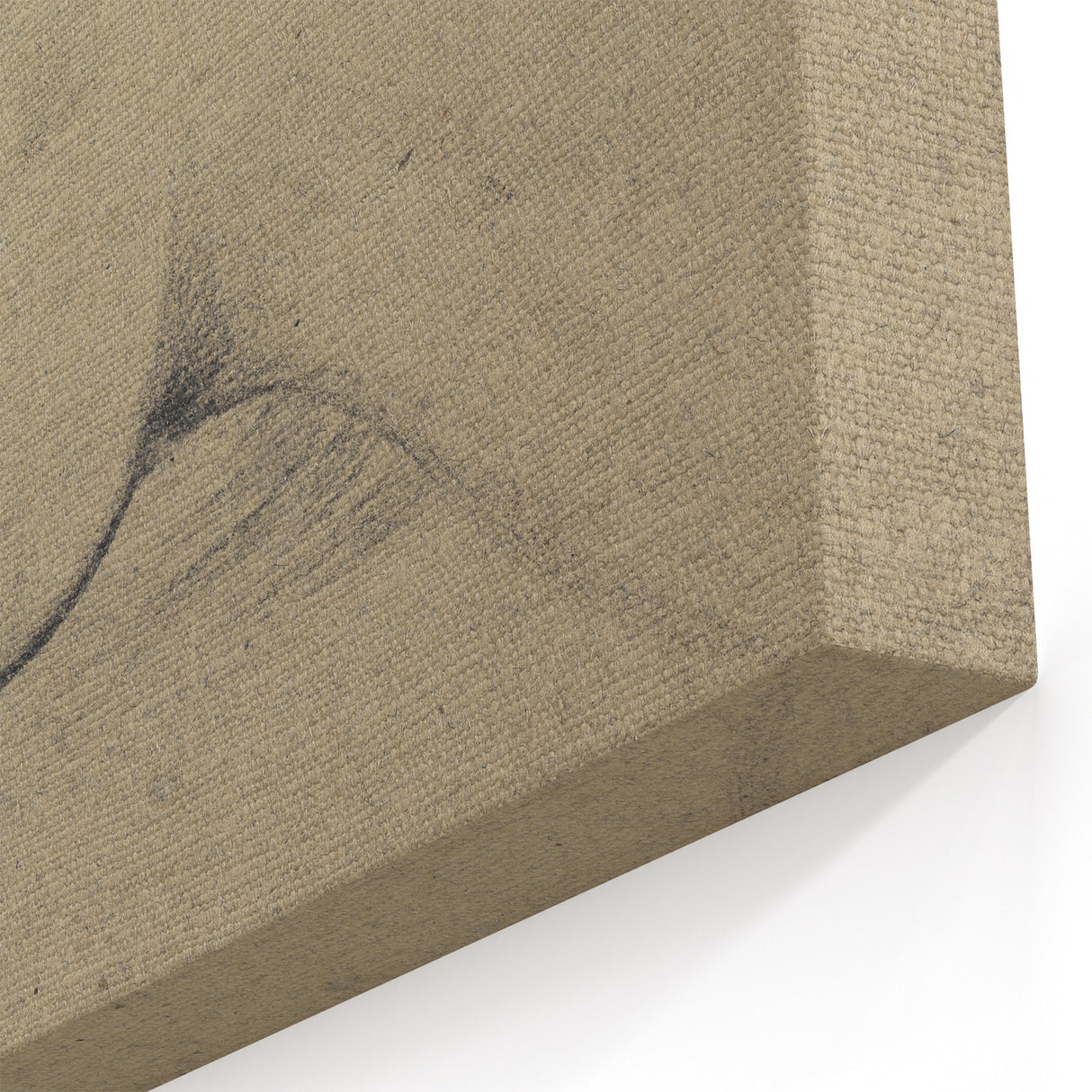 Grunge Aesthetic Art - Horse Sketch Canvas for Modern Decor Style