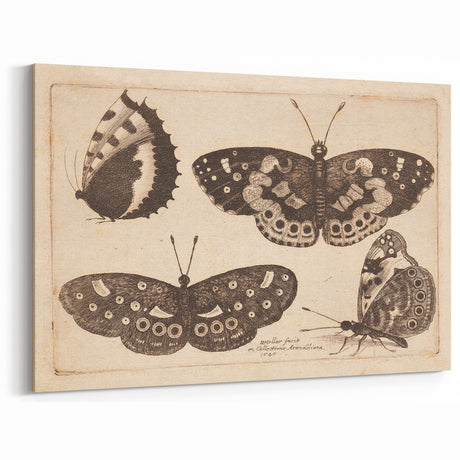 Grunge Aesthetic Art - Vintage Butterfly Canvas Print - Distressed Decor