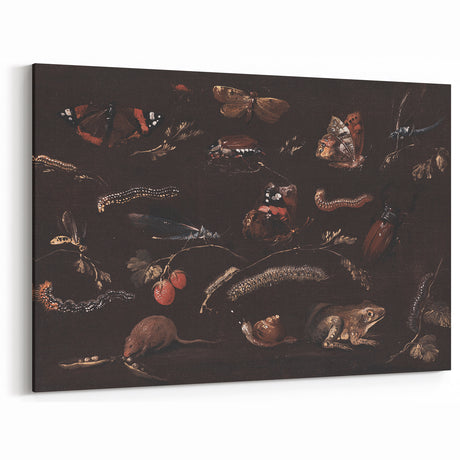 Grunge Nature Art Print - Dark Insect and Animal Canvas - Vintage Decor