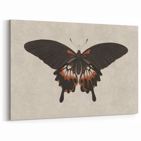 Grunge Butterfly Art Print - Dark Vintage Canvas - Edgy Decor Accent