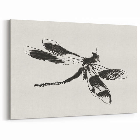 Grunge Insect Sketch Art Print - Abstract Dragonfly Canvas - Edgy Decor