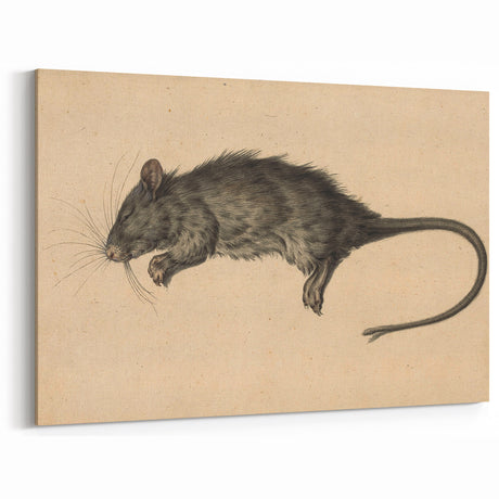 Grunge Rat Art Print - Vintage Animal Canvas - Dark Edgy Wall Decor