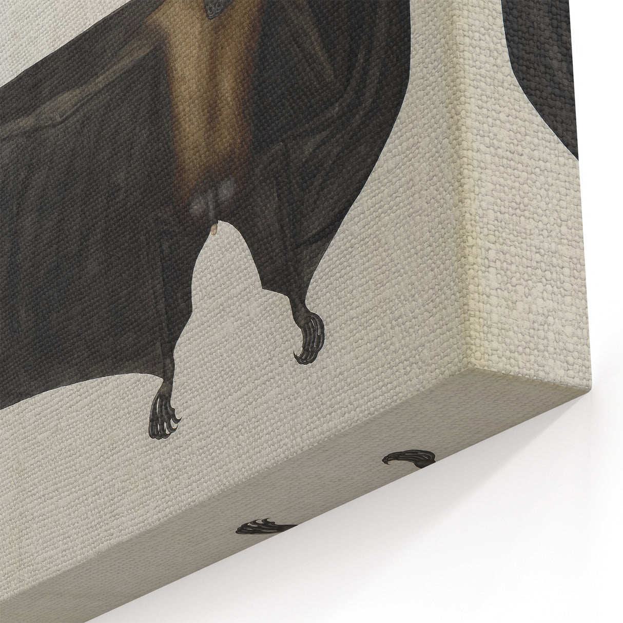Urban Grunge Bat Illustration - Vintage Grunge Canvas Print Art