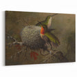 Vintage Grunge Hummingbirds - Urban Distressed Canvas Print Art