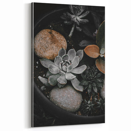 Rustic Succulent Wall Art – Vintage Nature Decor for Farmhouse Spaces
