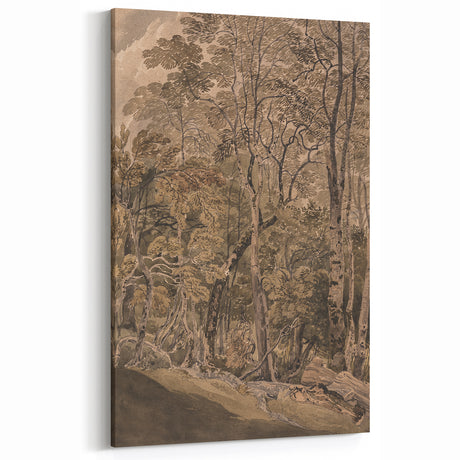 Dark Moody Wall Art: Atmospheric Forest Scene for Dramatic Interior Decor