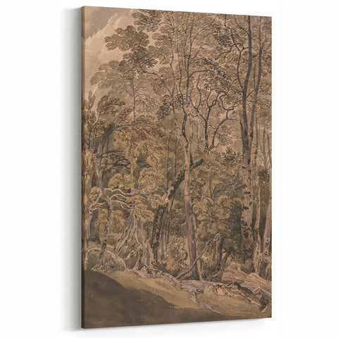 Dark Moody Wall Art: Atmospheric Forest Scene for Dramatic Interior Decor