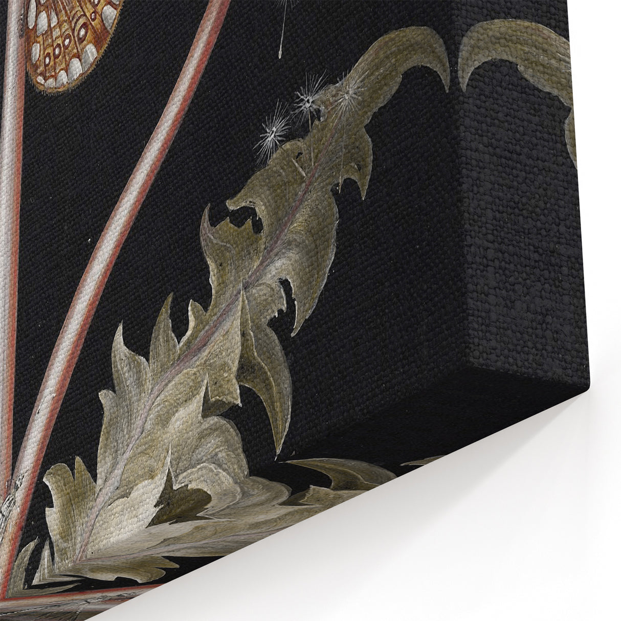 Moody Nature Art | Dark Floral and Butterfly Prints for Elegant Spaces