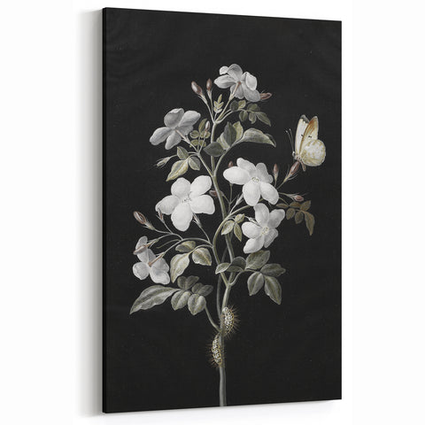 Dark Moody Wall Art - Floral Elegance with Butterfly for Dramatic Spaces