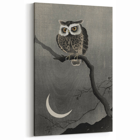 Dark Moody Wall Art - Night Owl and Crescent Moon for Dramatic Spaces