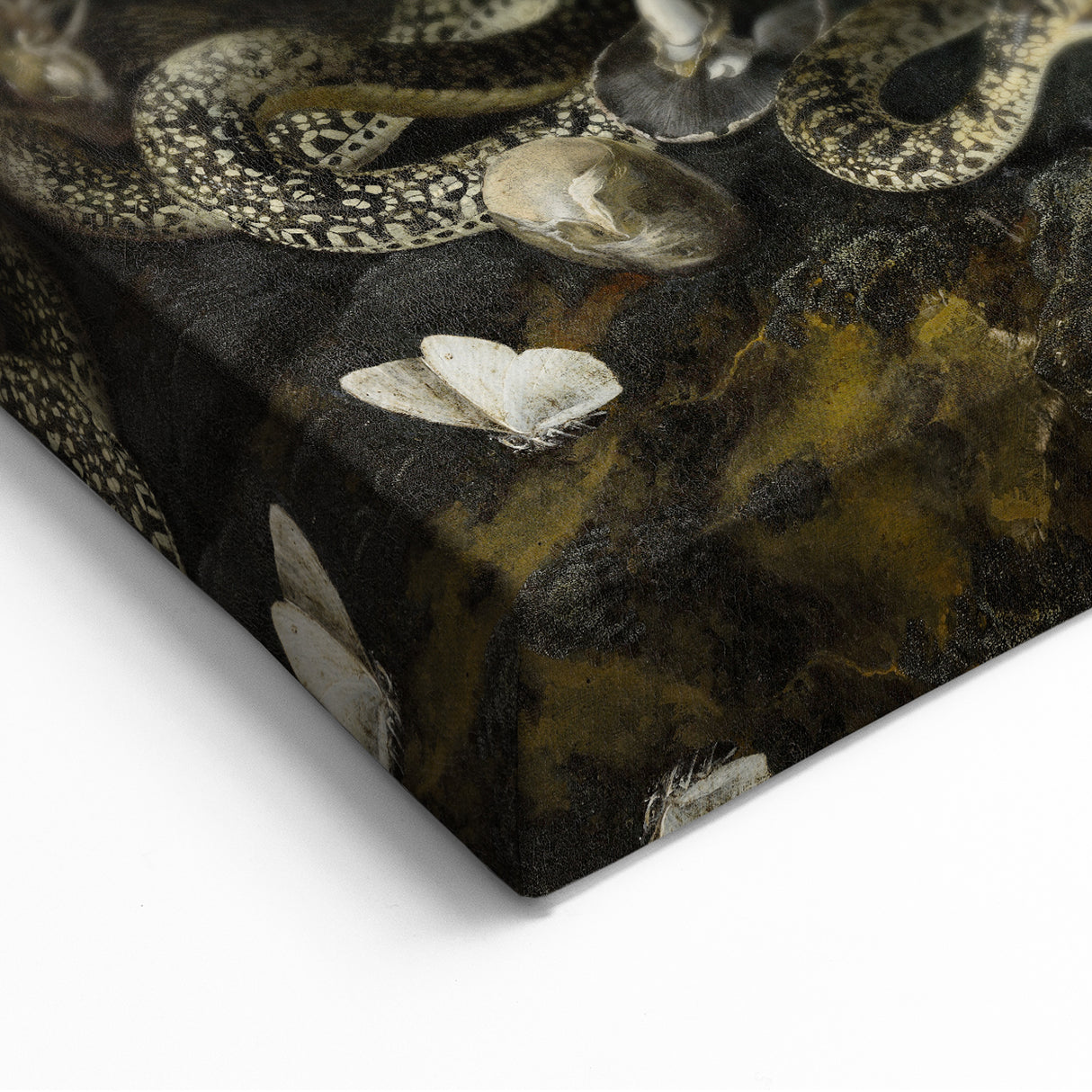 Dark Moody Wall Art with Snakes and Moths | Dramatic Moody Art Prints
