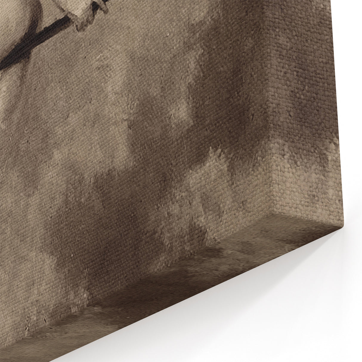 Dark Moody Wall Art | Vintage Nude on Broomstick | Moody Art Prints