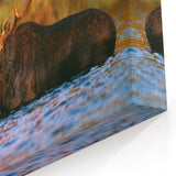 New Hampshire Nature Art – Moose Wildlife Photography Canvas and Prints