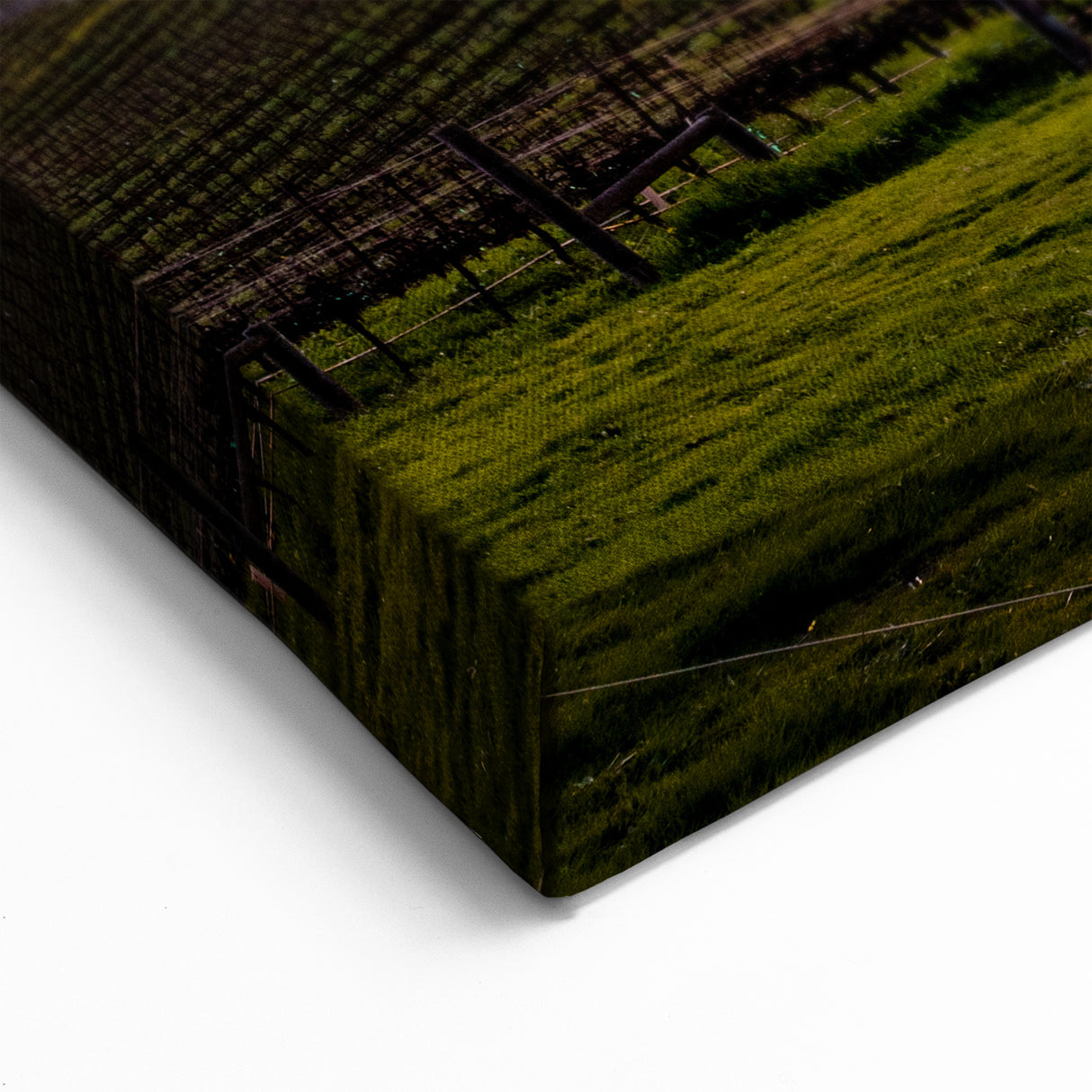 Napa Valley Vineyard Sunset – California Wine Country Scenic Wall Art