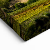 Sunset Over Napa Valley Vineyards – Scenic Wine Country Wall Art