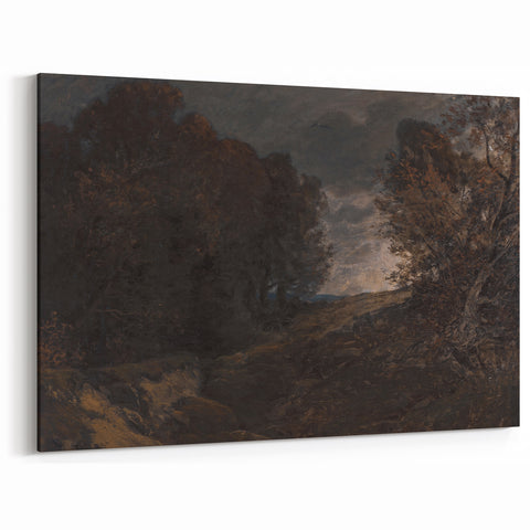 Moody Art Prints - Dark Forest Landscape for Atmospheric Wall Decor