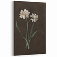 Moody Art Prints - Elegant Floral Still Life for Timeless Wall Decor