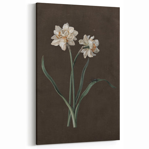 Moody Art Prints - Elegant Floral Still Life for Timeless Wall Decor