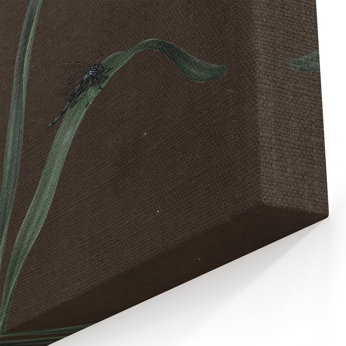 Moody Art Prints - Elegant Floral Still Life for Timeless Wall Decor