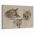 Grunge Fox Sketches - Vintage Grunge Aesthetic Canvas Print Art