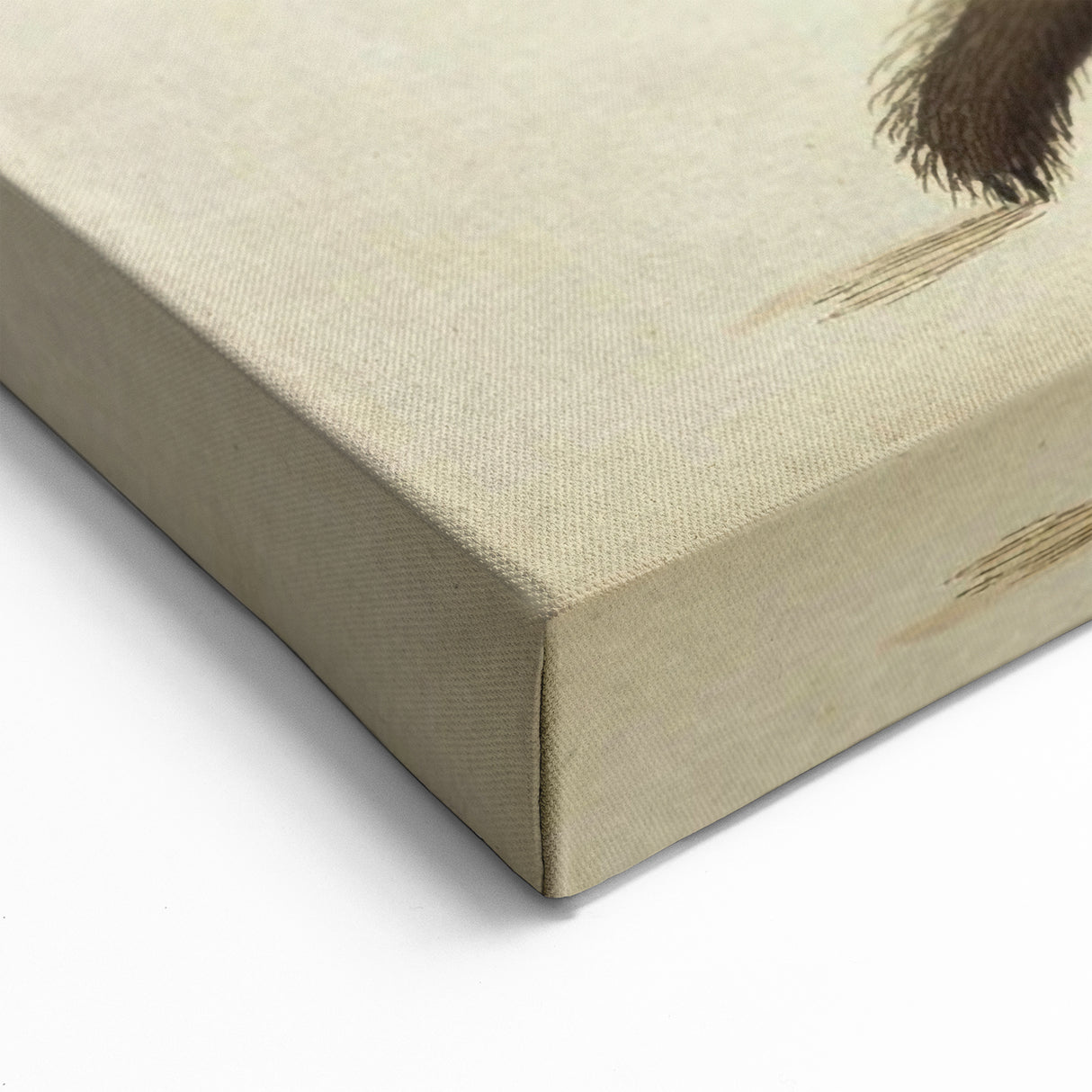 Grunge Spider Illustration - Vintage Grunge Aesthetic Canvas Print