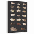 Vintage Grunge Art | Grunge Canvas Print | Urban Grunge Shell Art