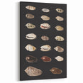 Vintage Grunge Art | Grunge Canvas Print | Urban Grunge Shell Art