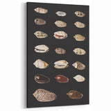 Vintage Grunge Art | Grunge Canvas Print | Urban Grunge Shell Art