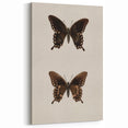 Vintage Grunge Art - Dark Butterfly Grunge Canvas Print - Urban Grunge Art