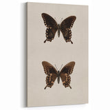 Vintage Grunge Art - Dark Butterfly Grunge Canvas Print - Urban Grunge Art
