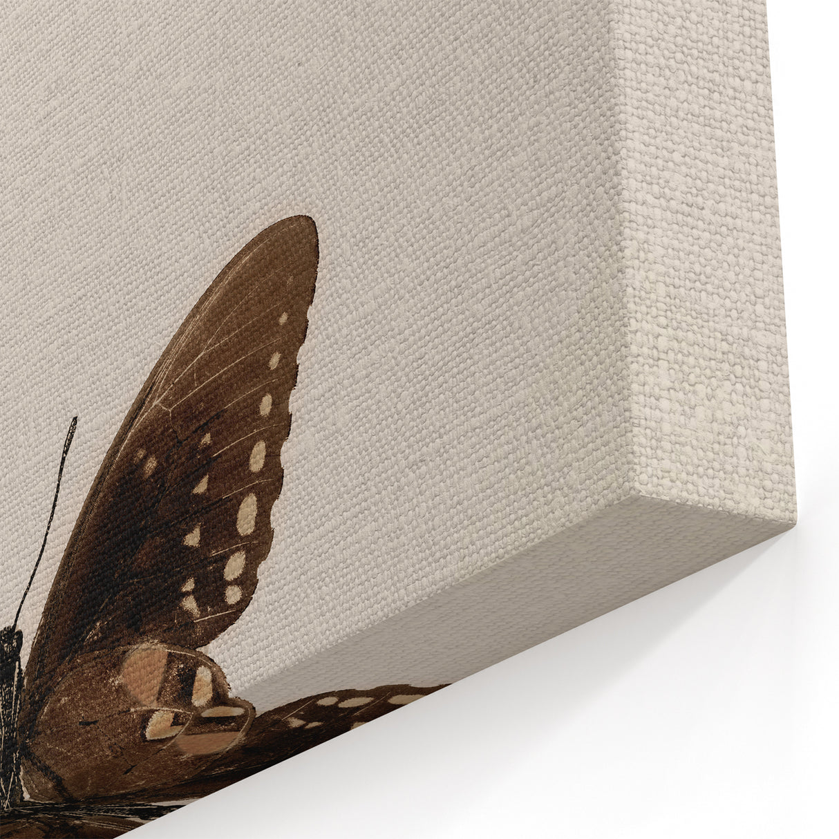 Vintage Grunge Art - Dark Butterfly Grunge Canvas Print - Urban Grunge Art