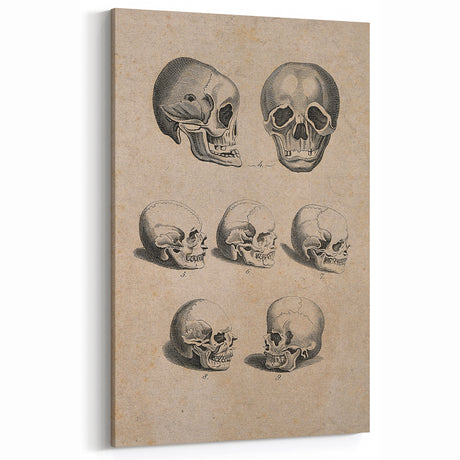 Grunge Wall Art - Vintage Skull Illustration Print - Urban Grunge Decor