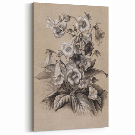 Grunge Wall Art - Vintage Floral Illustration Print - Grunge Aesthetic Decor
