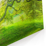 Historic New Jersey Scenes – Sunlit Tree Landscape Art Print