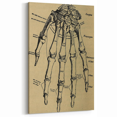 Grunge Wall Art - Vintage Anatomical Hand Illustration - Grunge Aesthetic Art