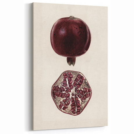 Grunge Wall Art - Vintage Pomegranate Illustration Print - Retro Grunge Decor