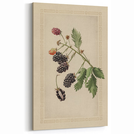 Vintage Berry Botanical Grunge Wall Art - Grunge Canvas Print Decor