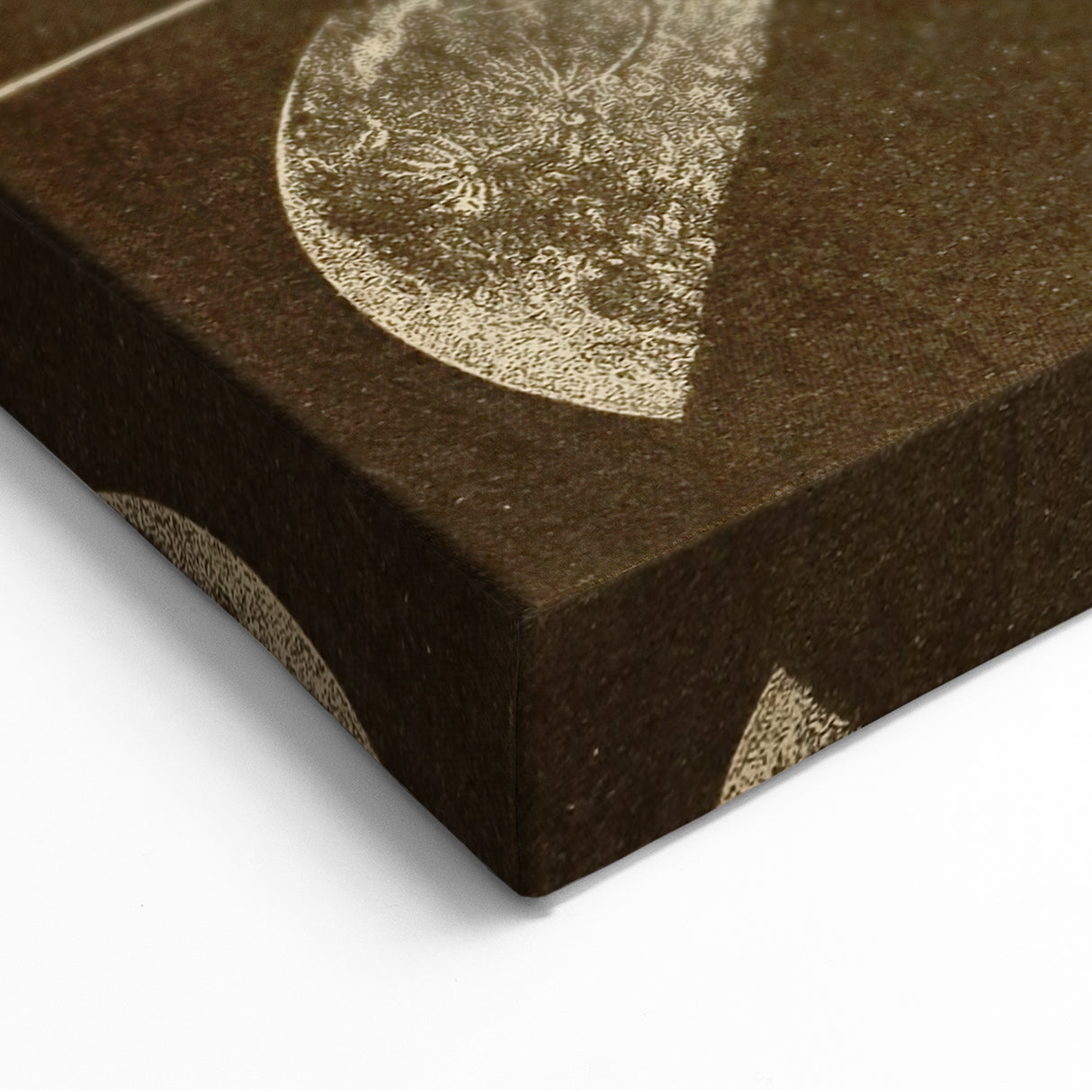 Phases of the Moon Grunge Wall Art - Vintage Lunar Grunge Canvas Print