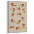 Grunge Wall Art | Vintage Eye Study Sketch | Abstract Grunge Canvas Print