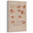Grunge Wall Art | Vintage Eye Anatomy Study | Abstract Grunge Print