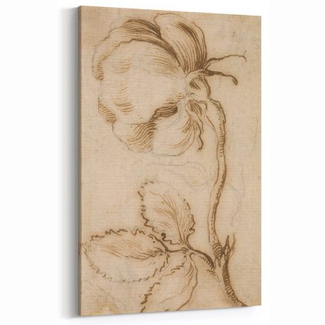 Grunge Wall Art | Vintage Floral Sketch | Abstract Grunge Botanical Print