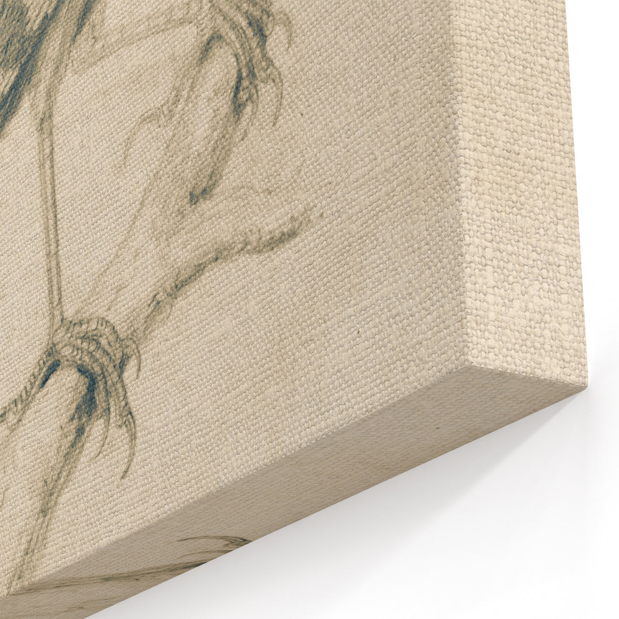 Grunge Wall Art | Vintage Bird Sketch | Abstract Grunge Nature Print