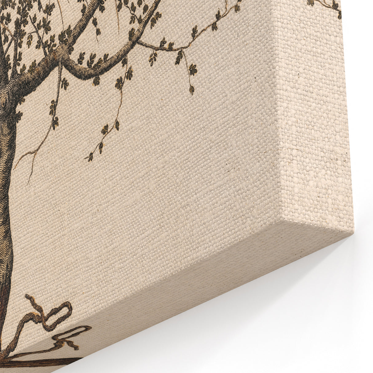 Grunge Wall Art | Vintage Tree Sketch | Abstract Grunge Botanical Print