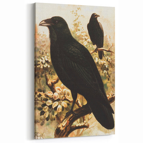 Grunge Wall Art | Vintage Raven Bird Sketch | Abstract Grunge Nature Print