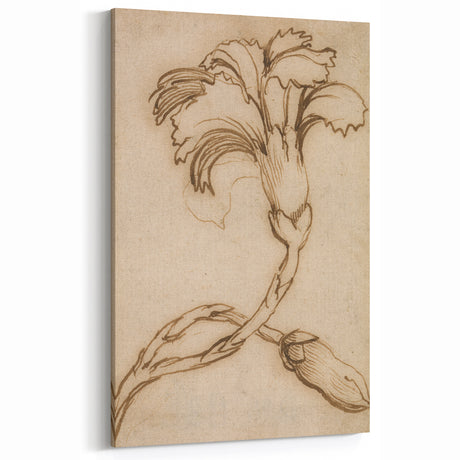 Grunge Botanical Wall Art - Vintage Plant Drawing for Industrial Decor