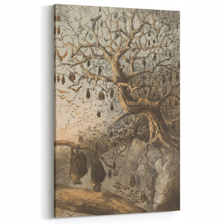 Grunge Wall Art - Vintage Bat Tree Illustration Grunge Canvas Print