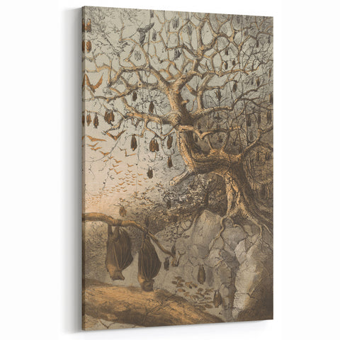 Grunge Wall Art - Vintage Bat Tree Illustration Grunge Canvas Print