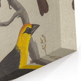 Grunge Aesthetic Art: Vintage Bird Illustration Grunge Canvas Print